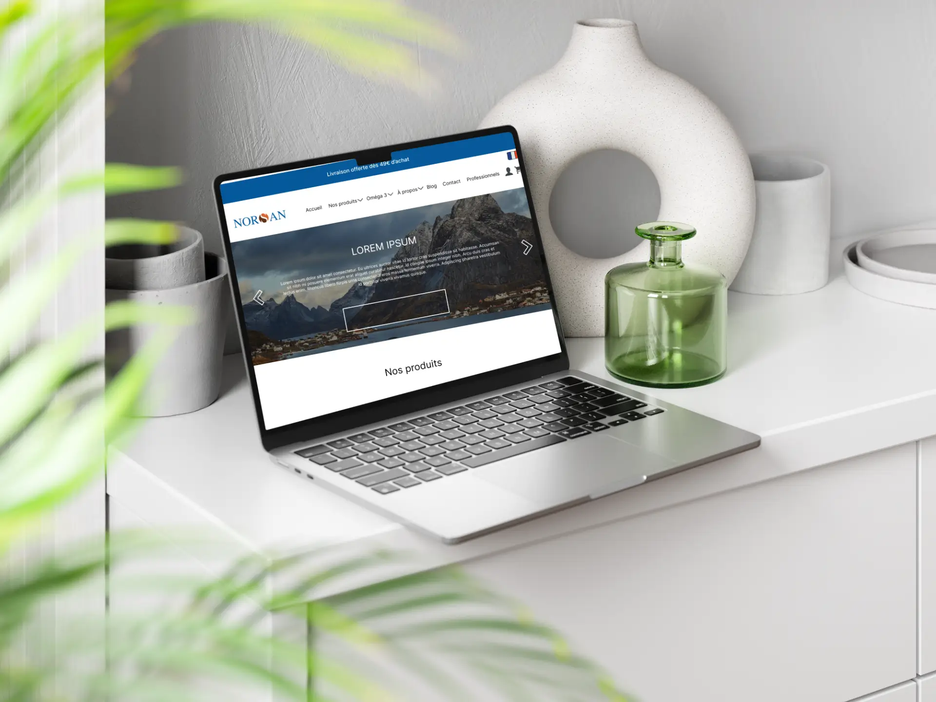 mockup website norsan