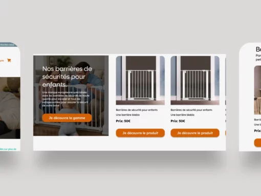 Restoring Trust: Optimising a UK Brand for the French Market 